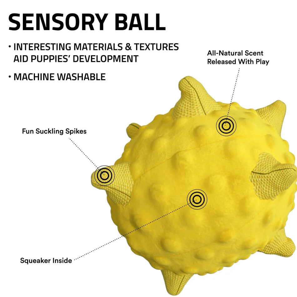 Sensory Ball - Image 7