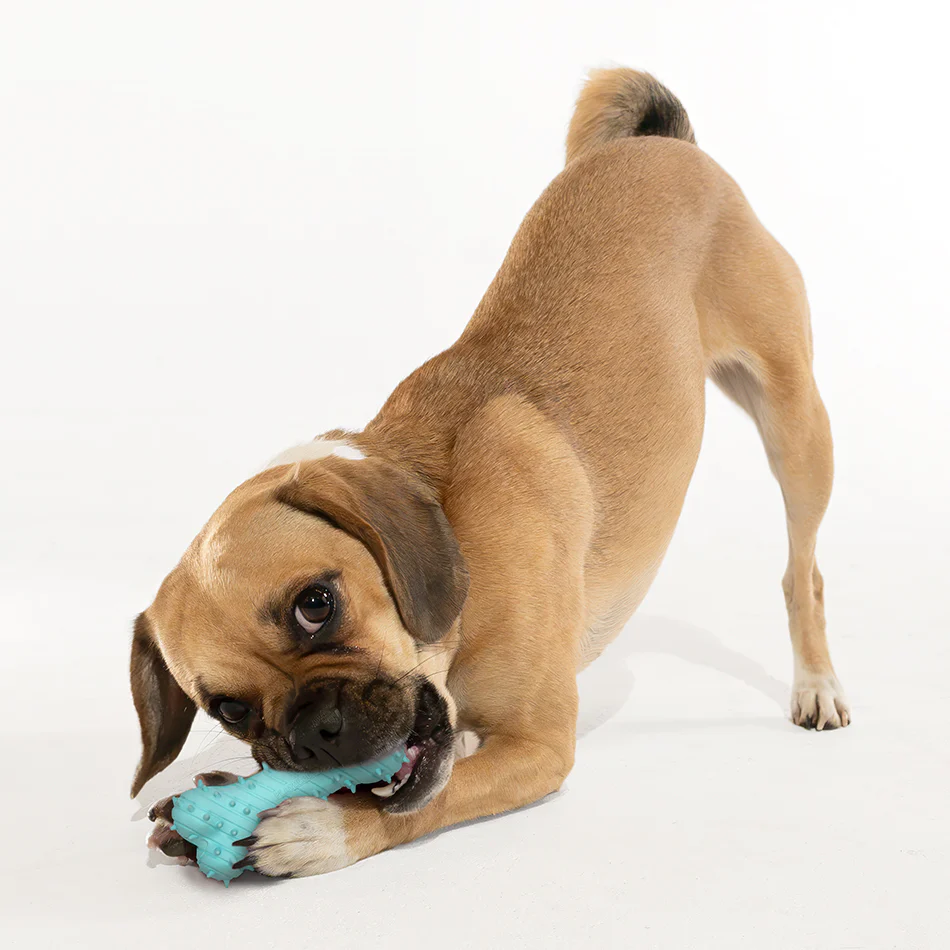 Teething Bone - Image 11