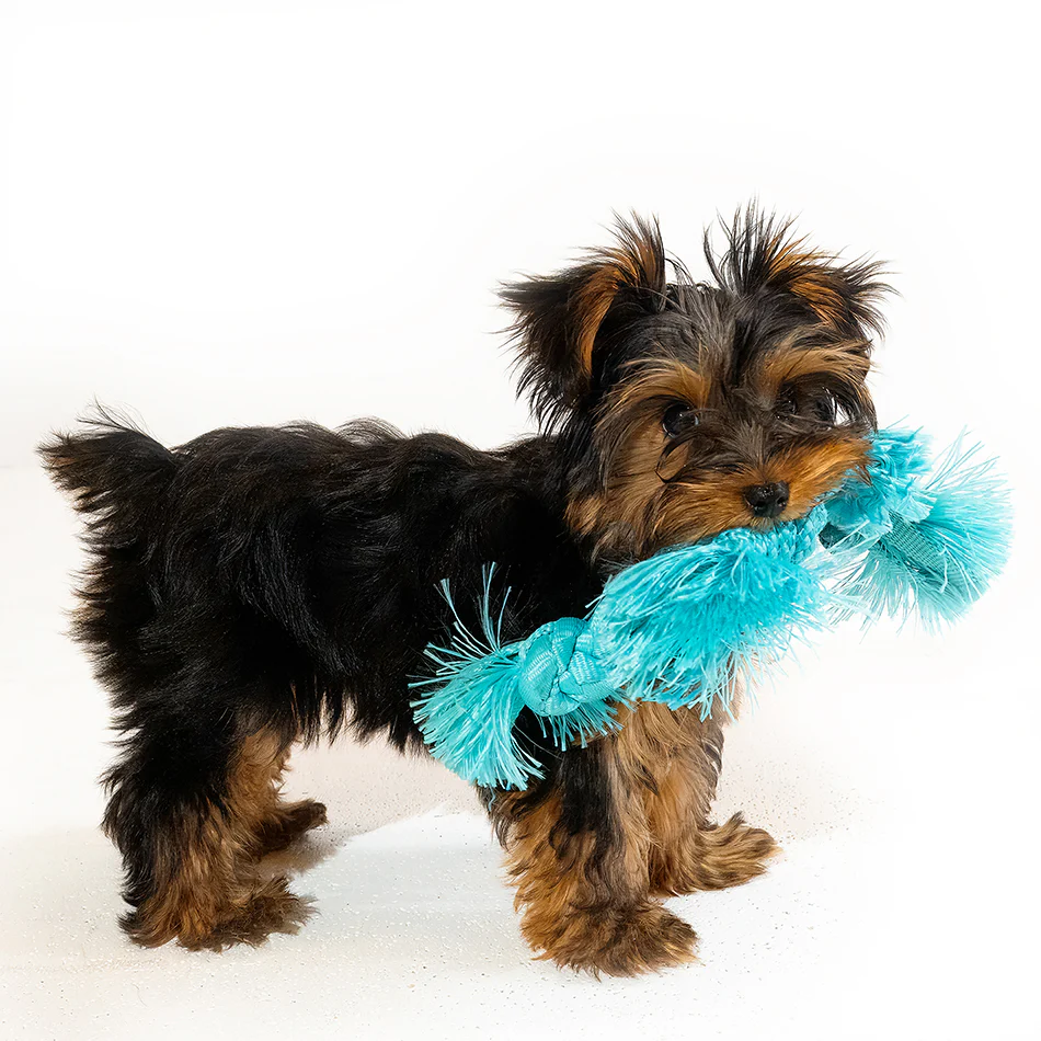 Sensory Rope - Image 10