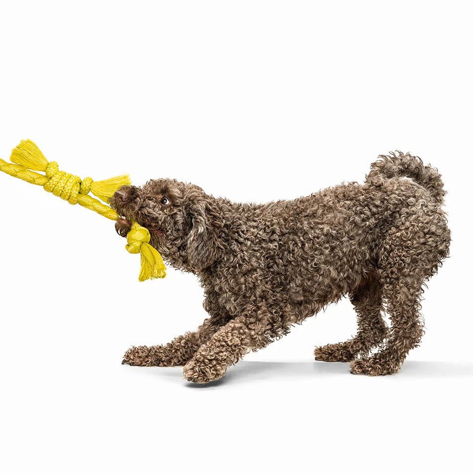 Sensory Rope - Image 11