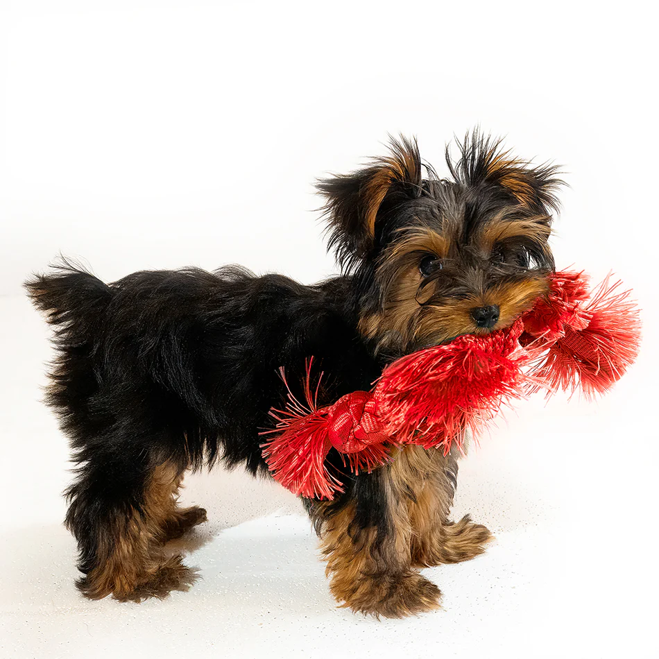 Sensory Rope - Image 12