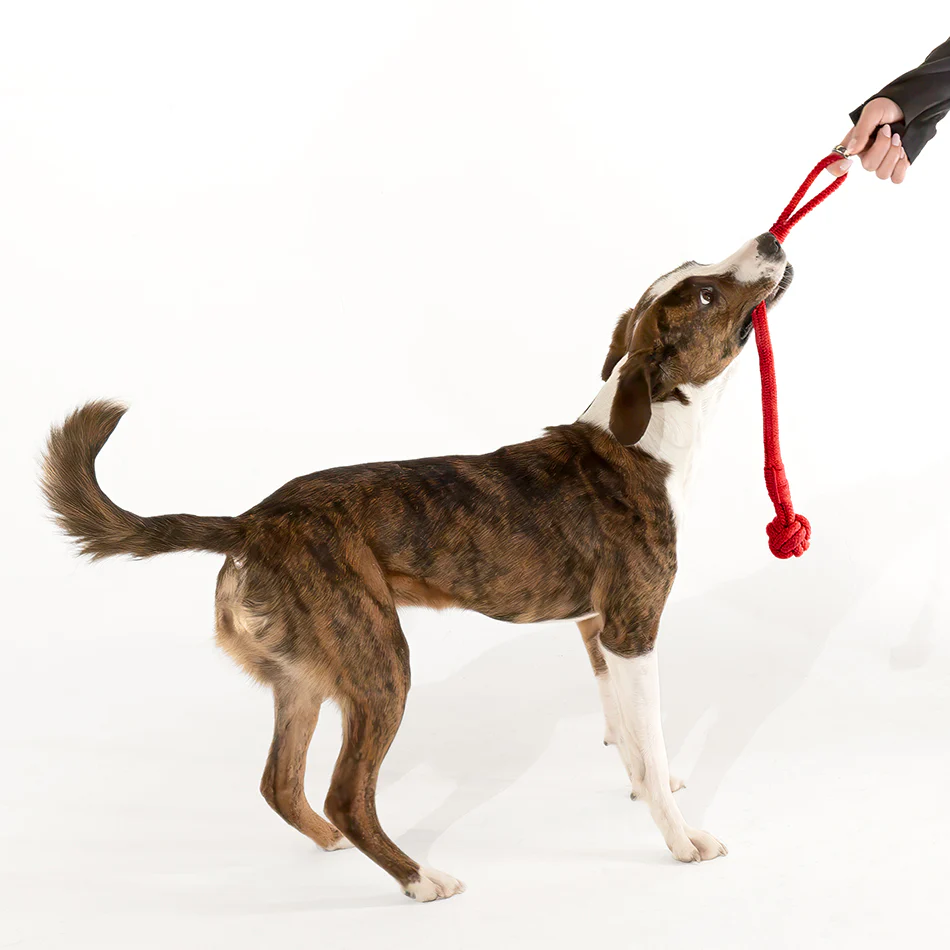 Tough Tug Knot - Image 10