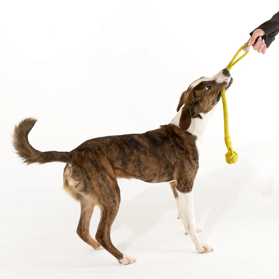 Tough Tug Knot - Image 12