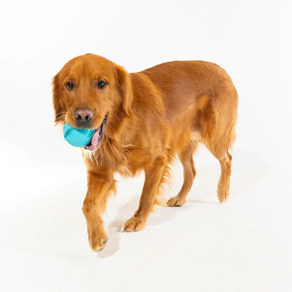 Dental Chew Ball - Image 4