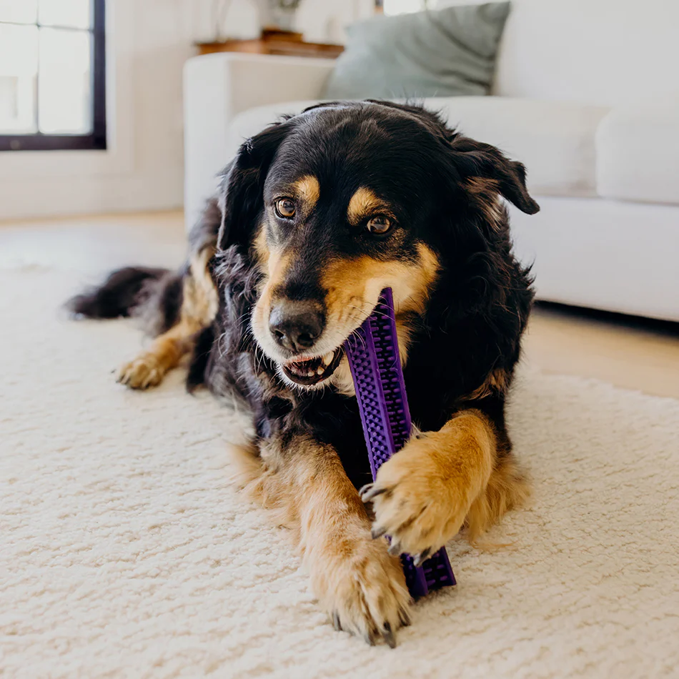 Dental Chew Stick - Image 8