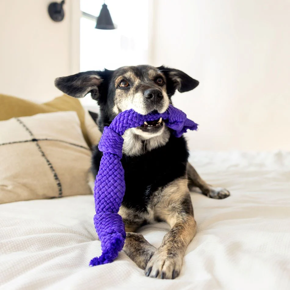 Dri-Tech Dental Rope - Image 14