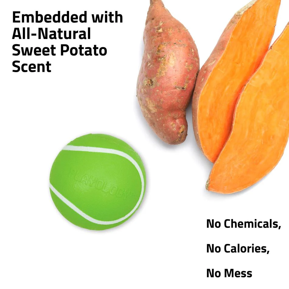 Squeaky Chew Ball - Image 13