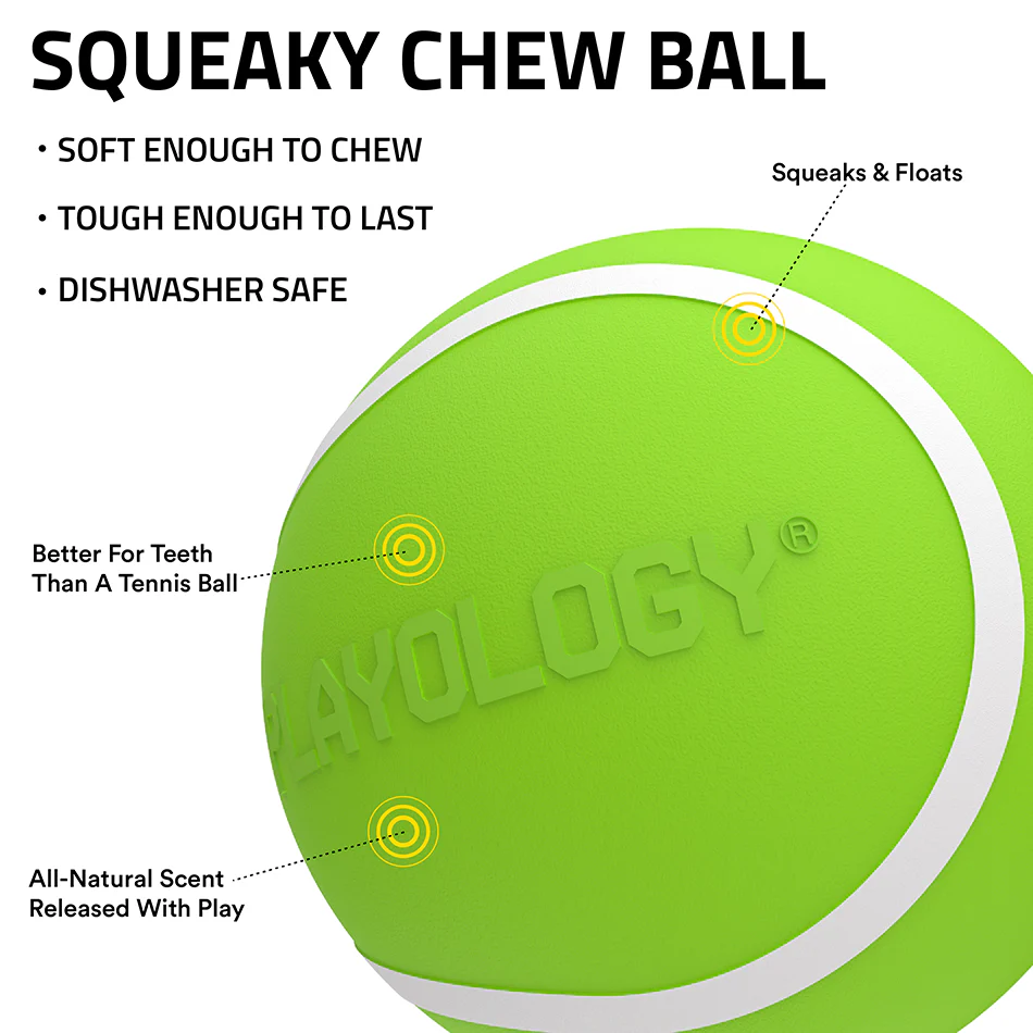 Squeaky Chew Ball - Image 19