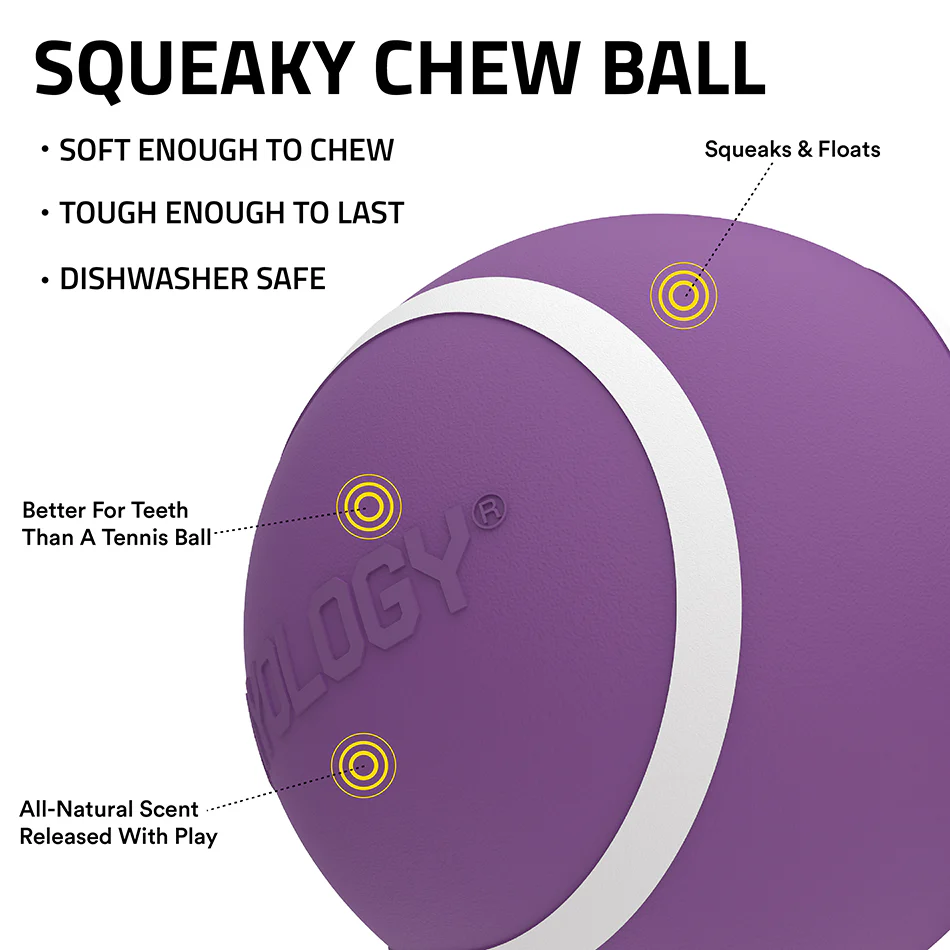 Squeaky Chew Ball - Image 20