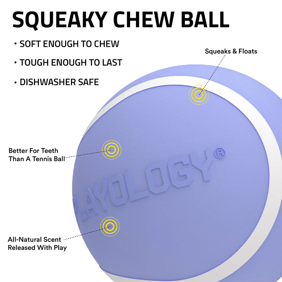Squeaky Chew Ball - Image 27