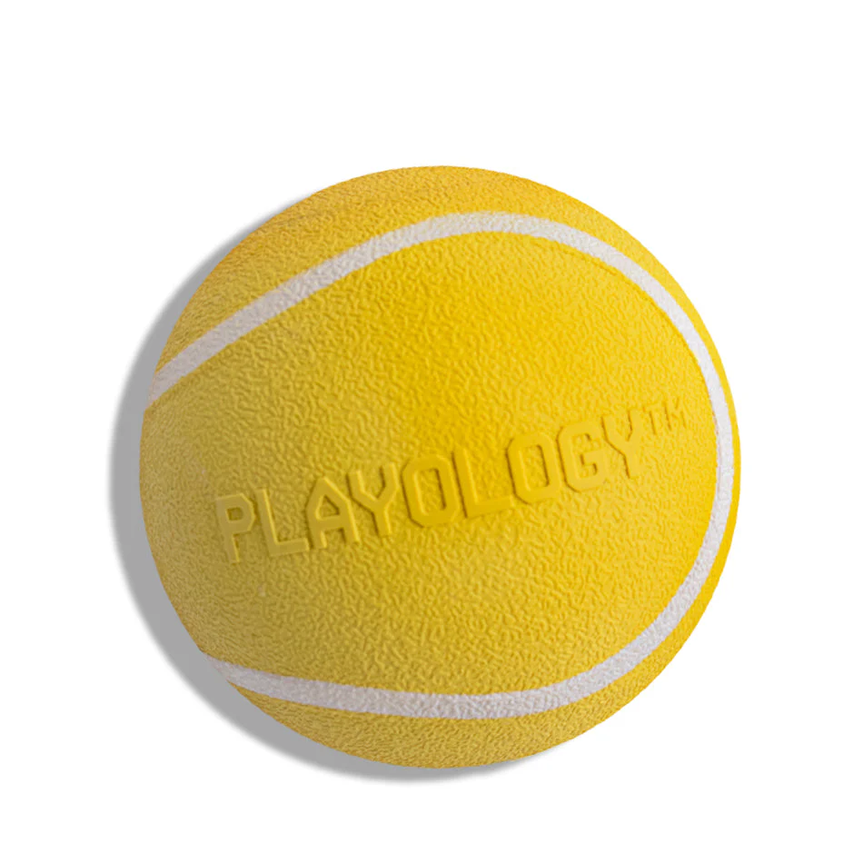 Squeaky Chew Ball - Image 3