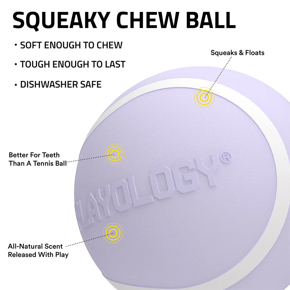 Squeaky Chew Ball - Image 30