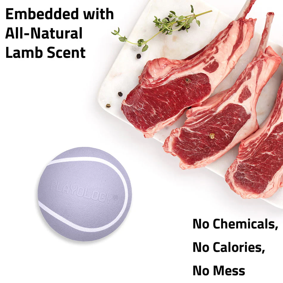 Squeaky Chew Ball - Image 32