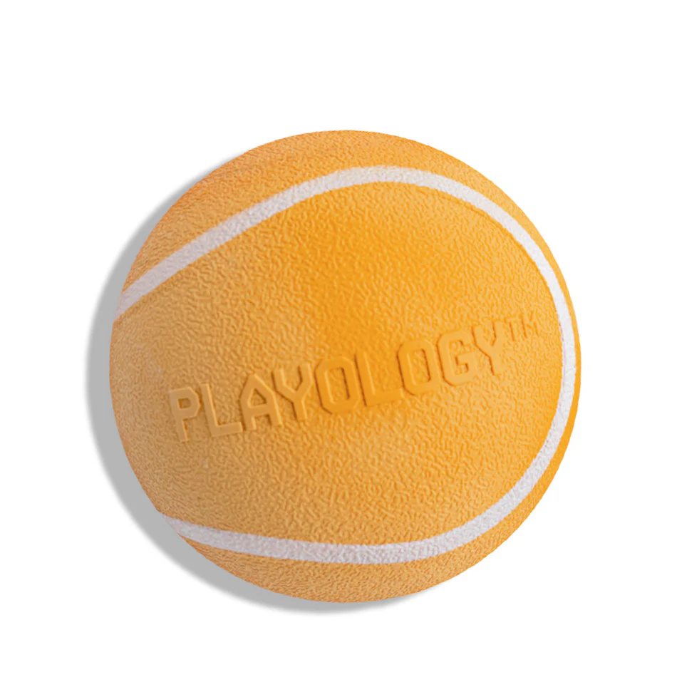 Squeaky Chew Ball - Image 4