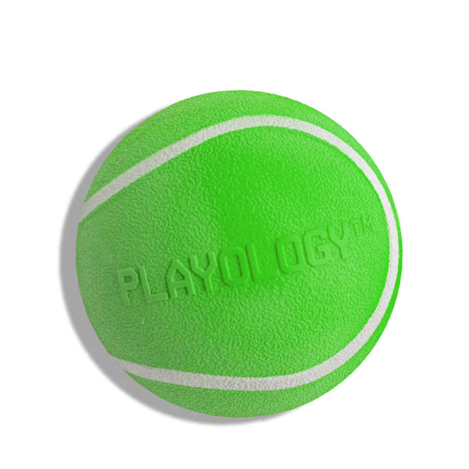 Squeaky Chew Ball - Image 5
