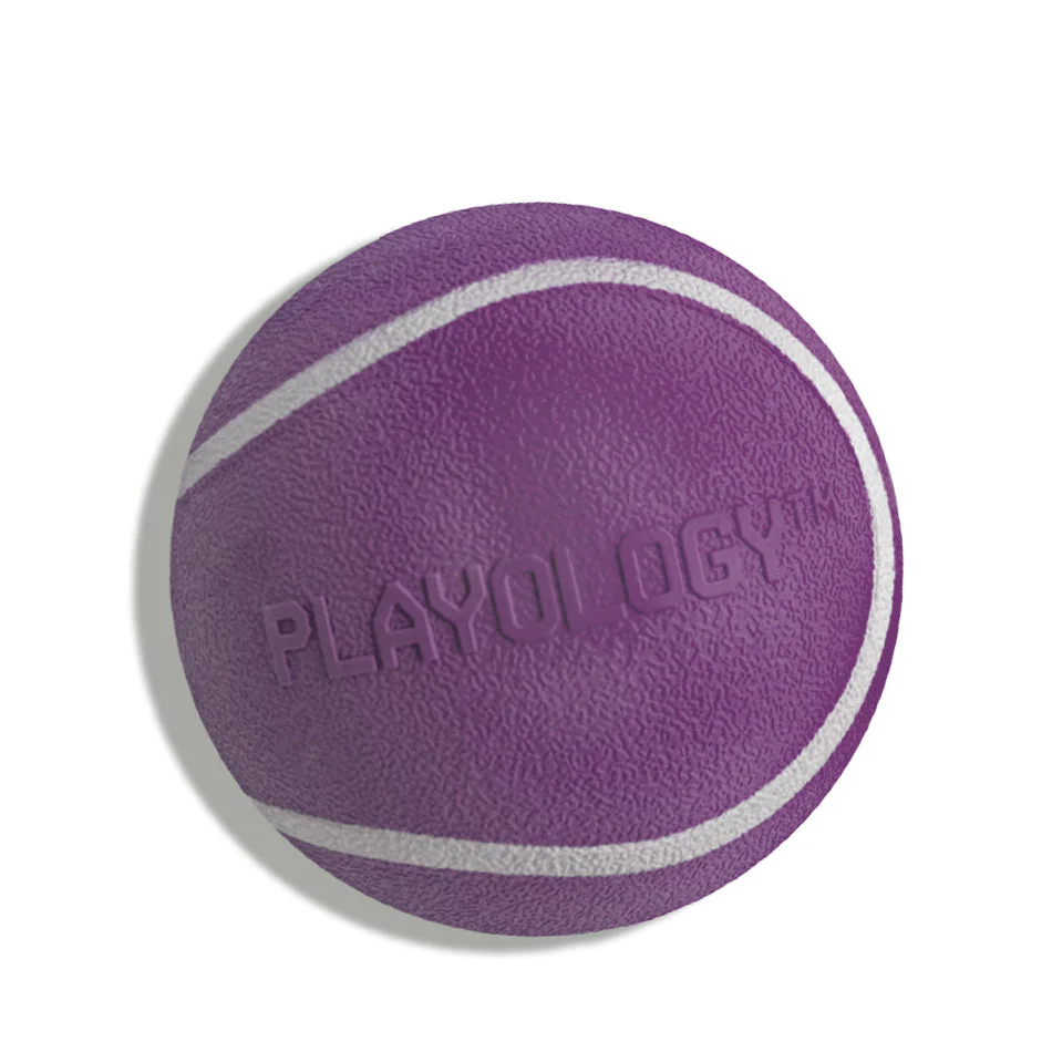 Squeaky Chew Ball - Image 6