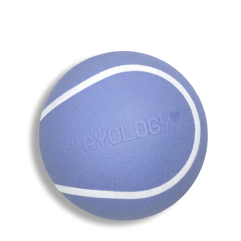 Squeaky Chew Ball - Image 7