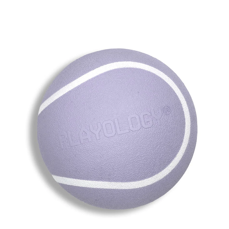 Squeaky Chew Ball - Image 8