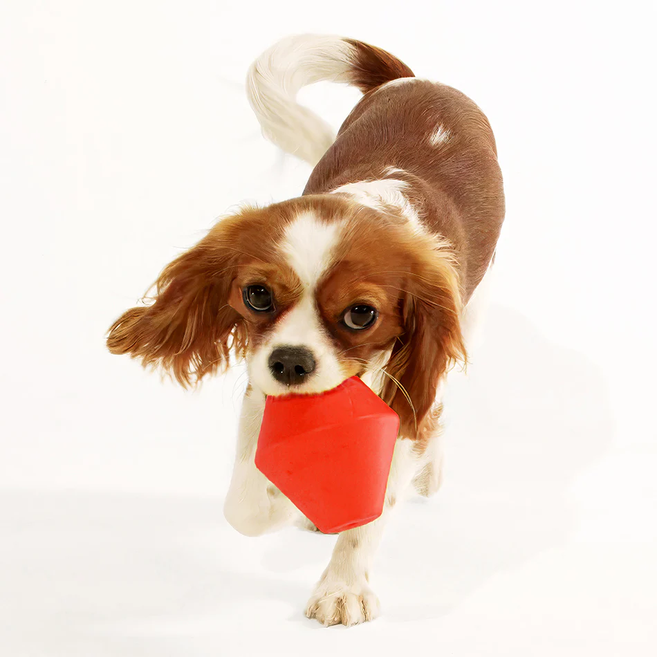 Squeaky Chew Cone - Image 4