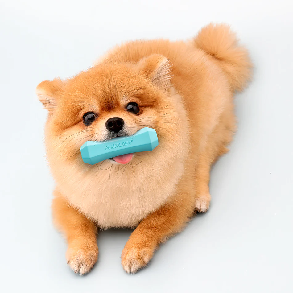 Squeaky Chew Stick - Image 16