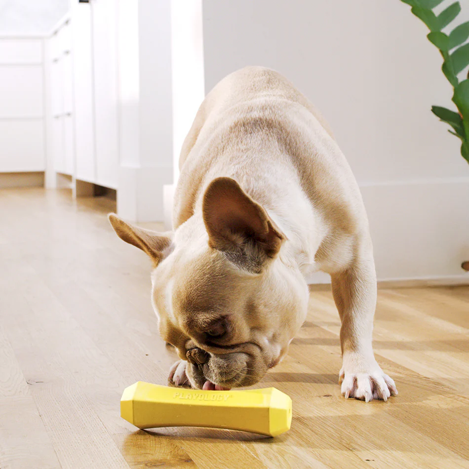 Squeaky Chew Stick - Image 19