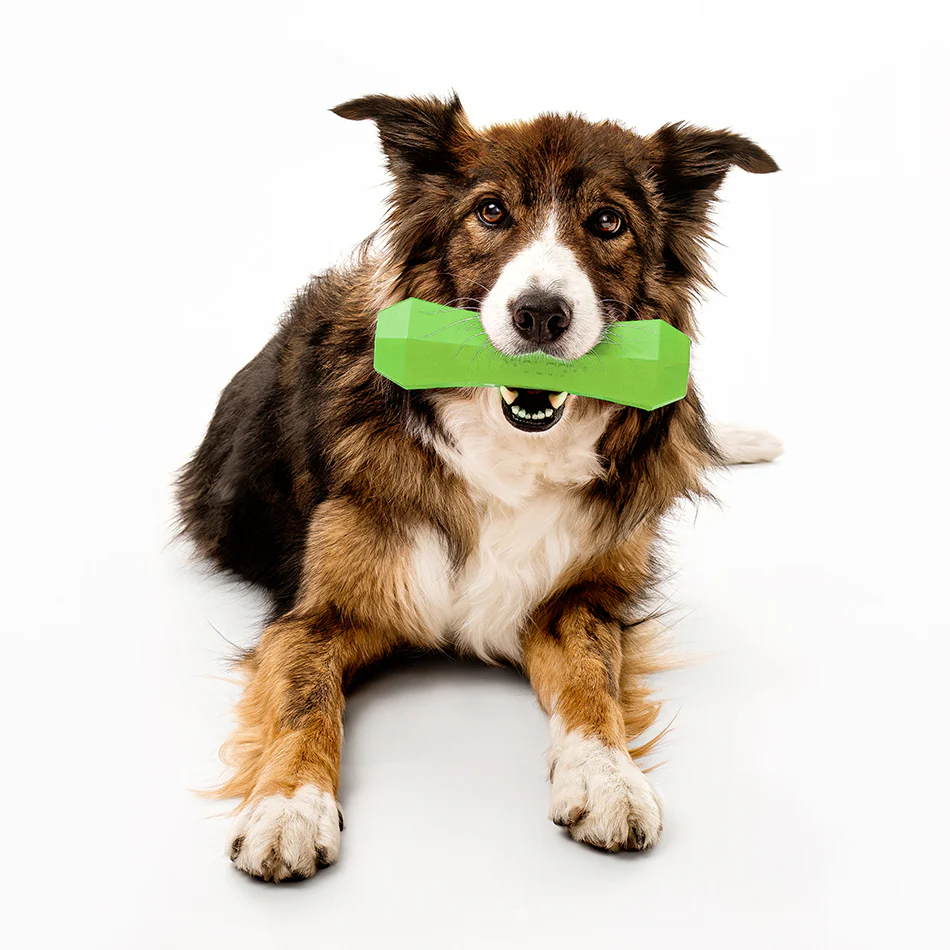 Squeaky Chew Stick - Image 20