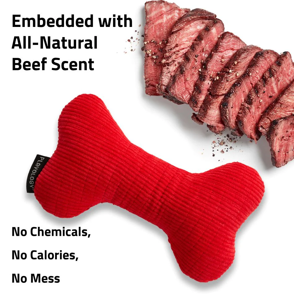 Squeaky Bone - Image 3