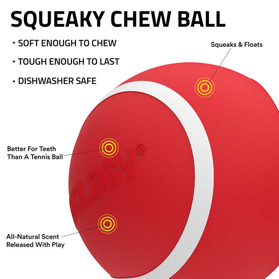 Squeaky Chew Ball - Image 16