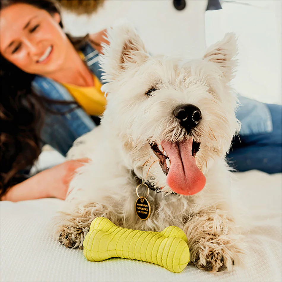 Dual Layer Bone - Image 17