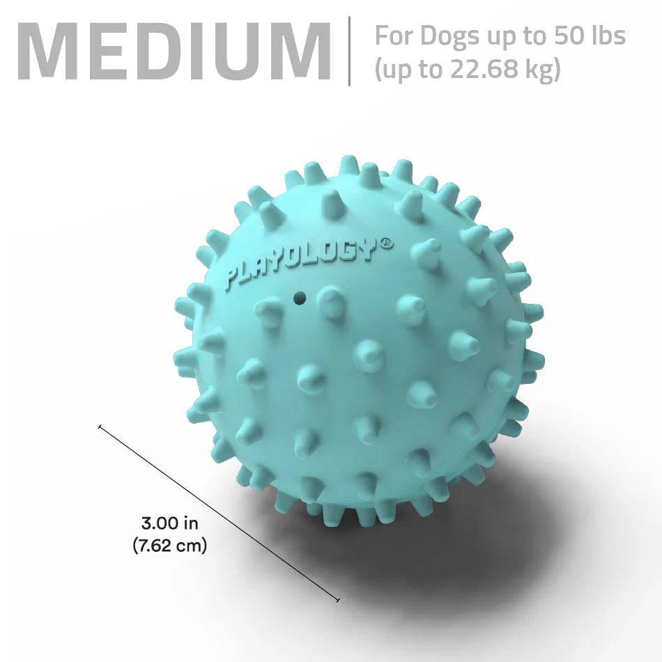 Spiky Ball - Image 3