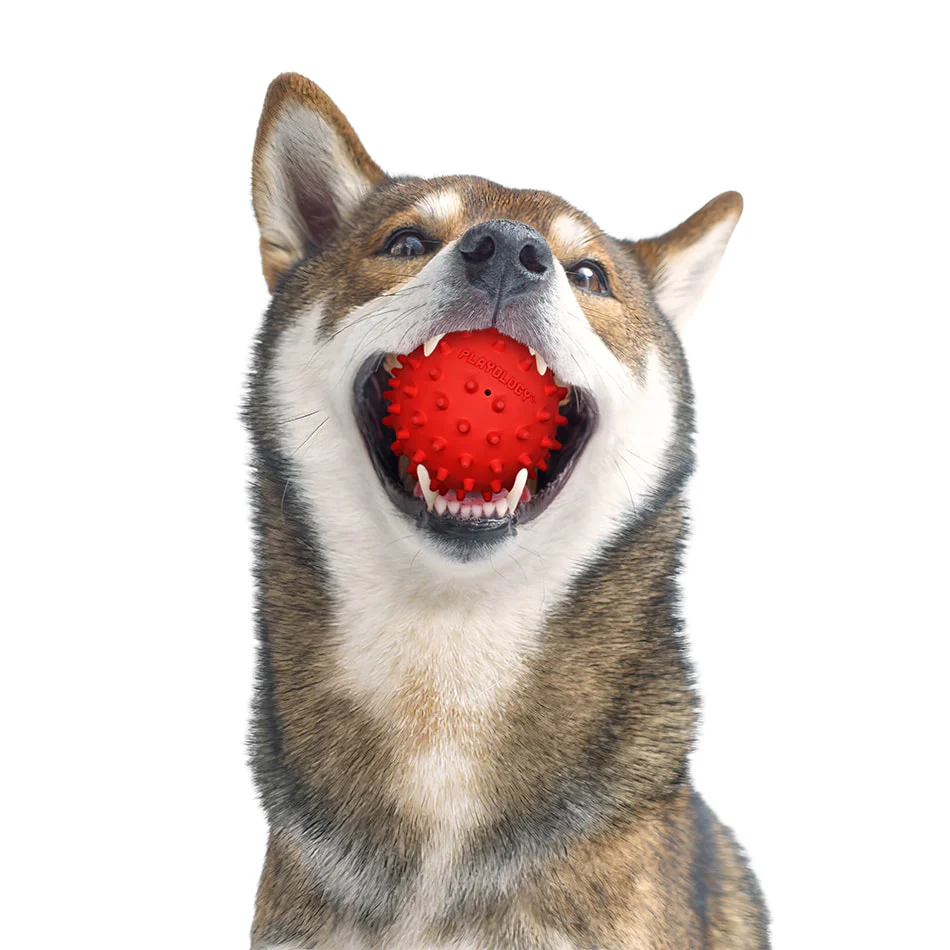 Spiky Ball - Image 5