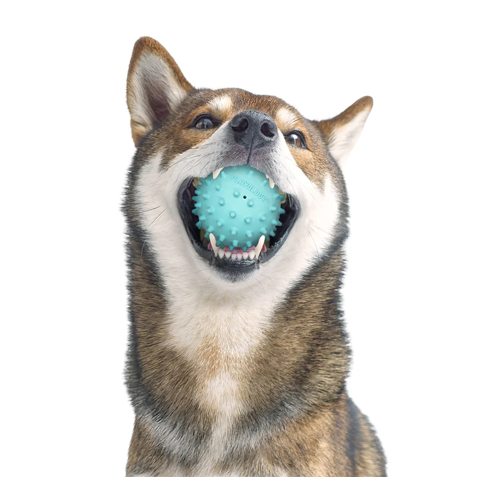 Spiky Ball - Image 9