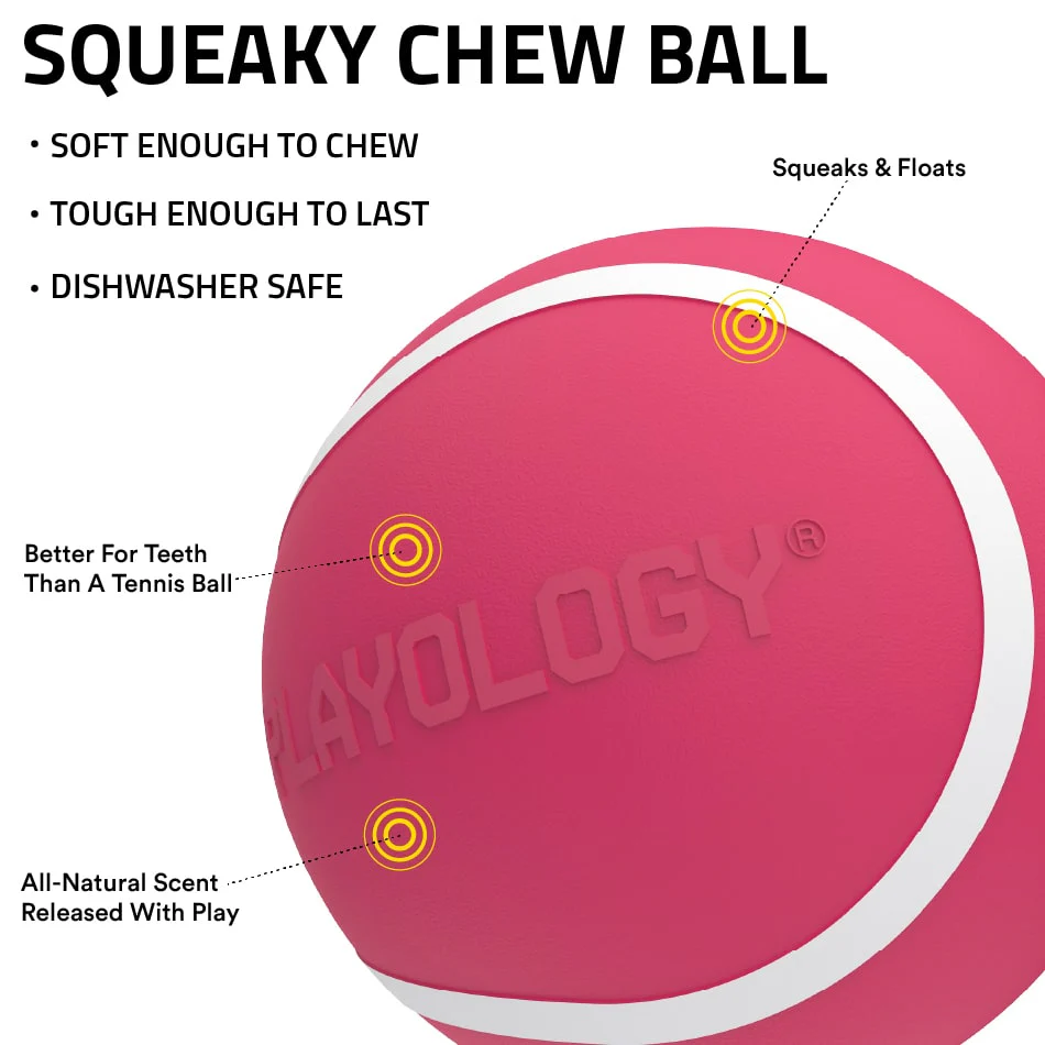 Squeaky Chew Ball | Red Velvet - Image 3
