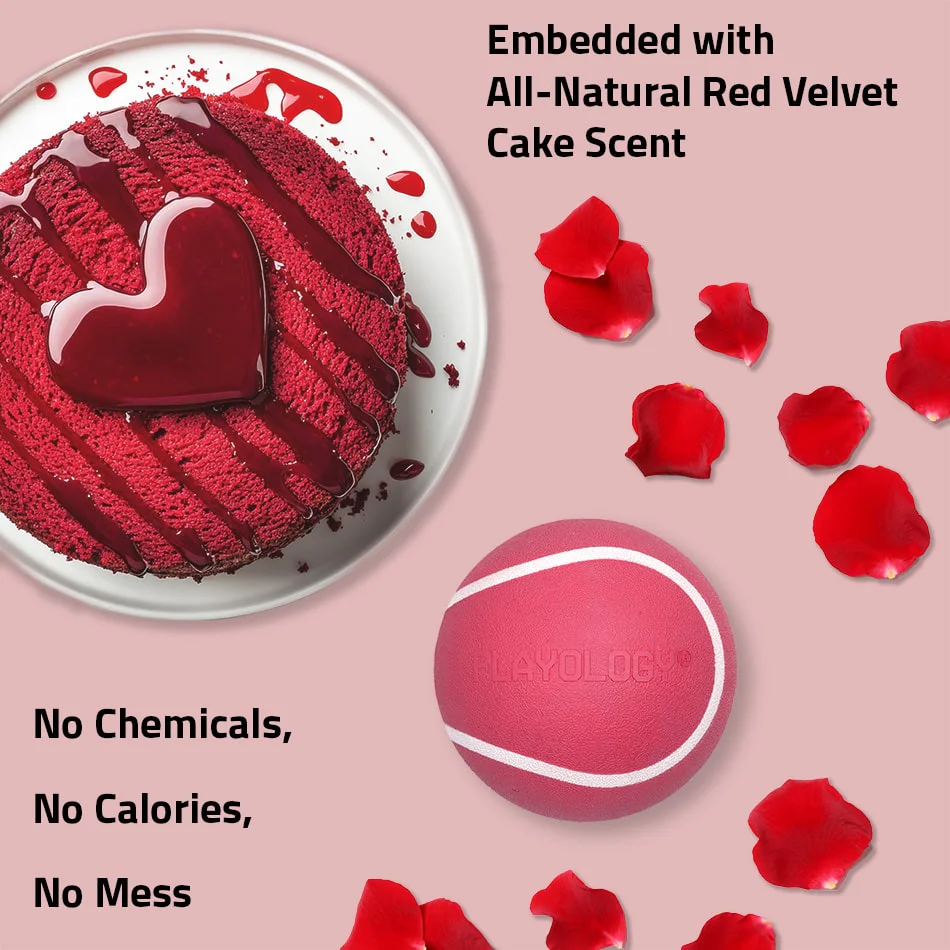 Squeaky Chew Ball | Red Velvet - Image 6