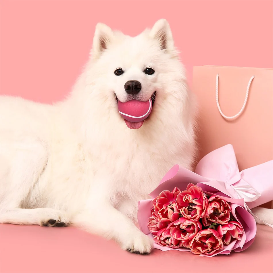 Squeaky Chew Ball | Red Velvet - Image 7