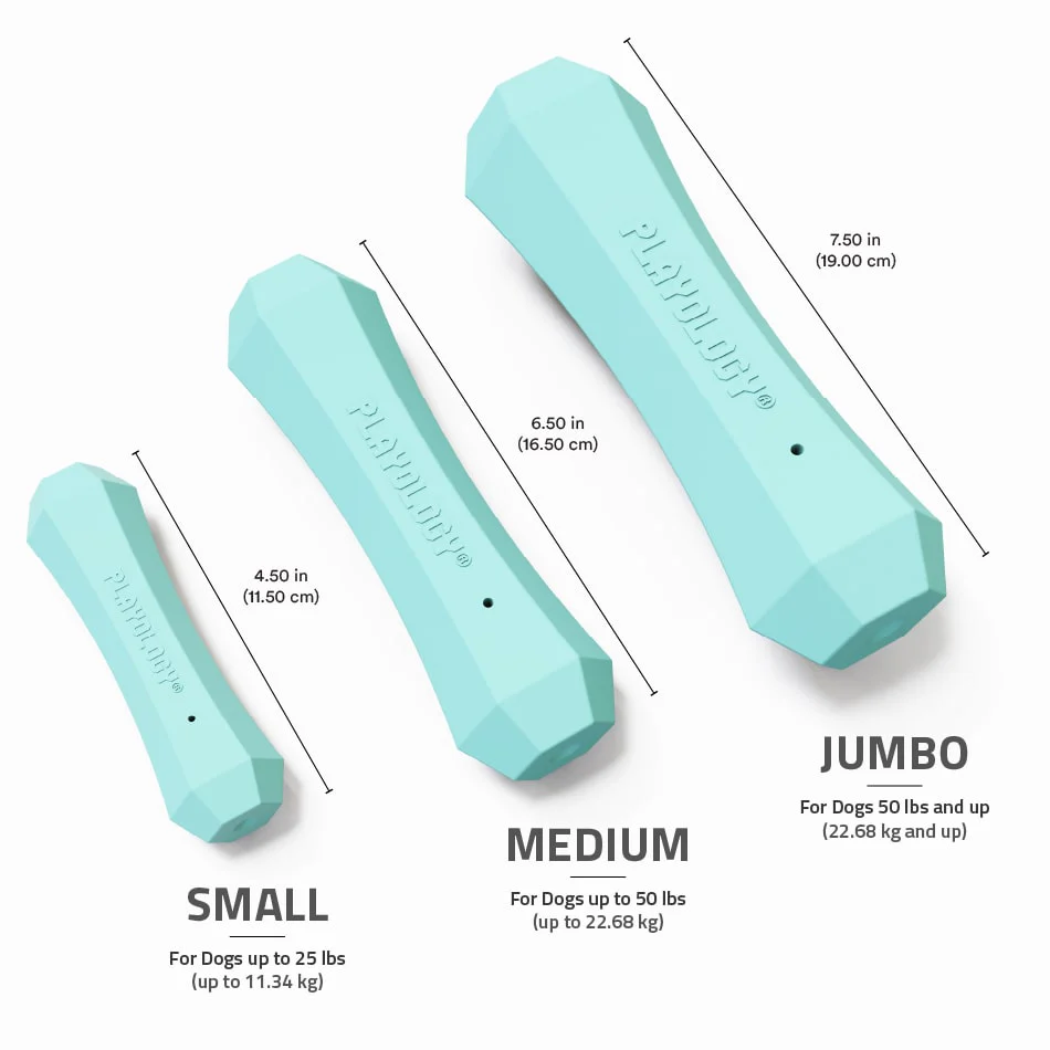 Squeaky Chew Stick - Image 9