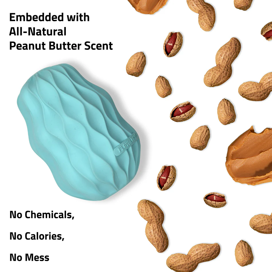 Squeaky Pinecone - Image 4