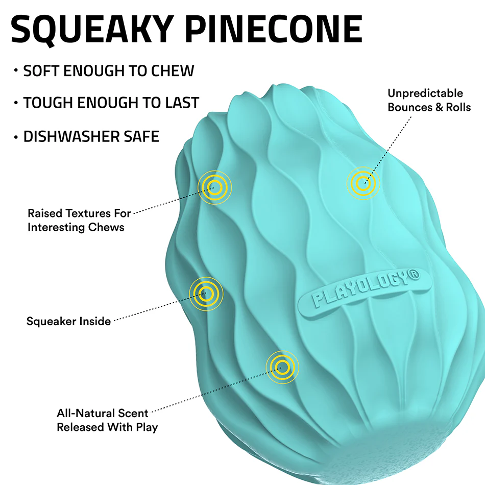Squeaky Pinecone - Image 3