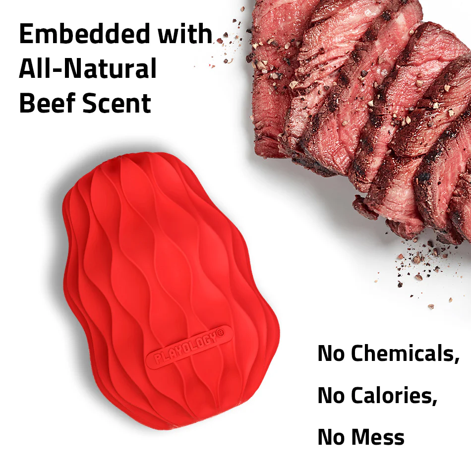 Squeaky Pinecone - Image 7