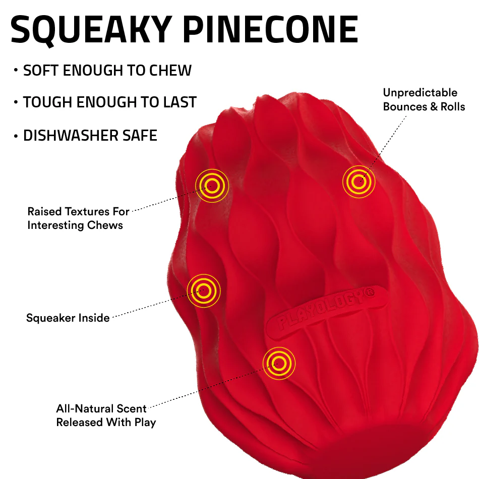 Squeaky Pinecone - Image 6