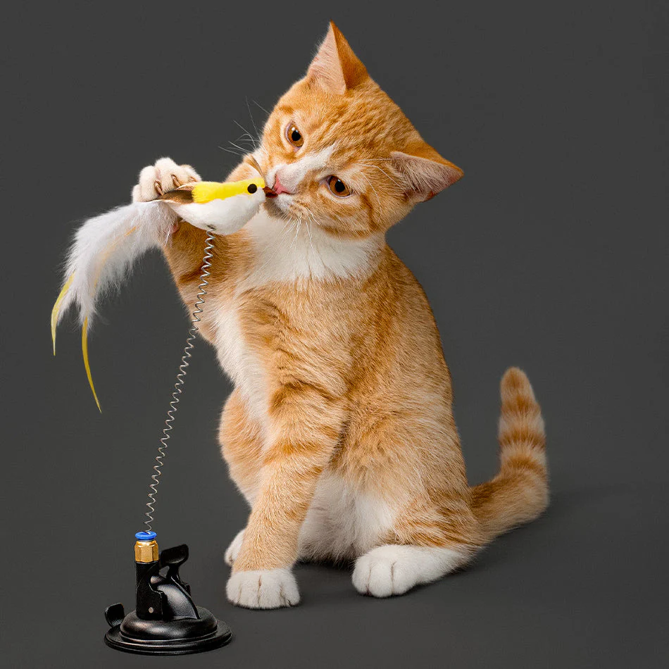 Suction Cup Spring Bird - Image 3