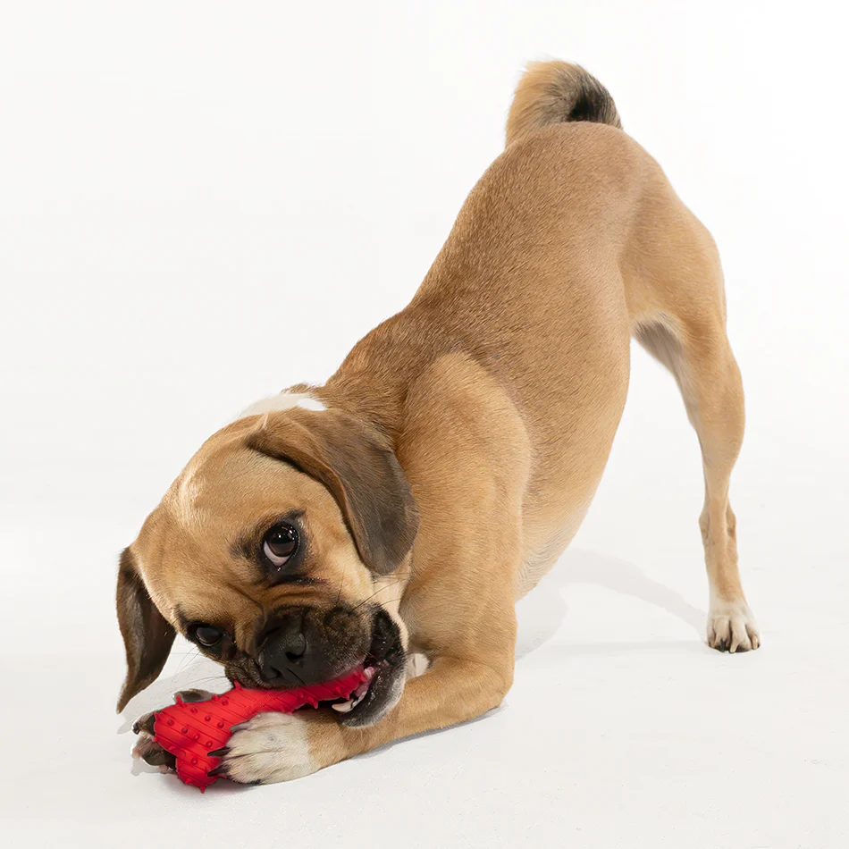 Teething Bone - Image 13